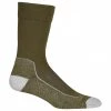 Icebreaker - Hike+ Light Crew - Chaussettes de randonnée -Chaussettes Soldes icebreaker hike light crew chaussettes de randonnee bf